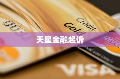 天星金融起訴企業管理服務 金融科技糾紛的警示
