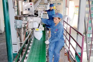 喜訊 精河鹽化公司榮獲國家高新技術企業稱號